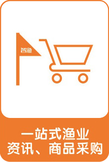 &#26131;&#28216;&#32593;&#39029;&#29256;&#45;&#26131;&#28216;&#40;&#20013;&#22269;&#41;