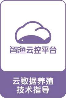 &#26131;&#28216;&#32593;&#39029;&#29256;&#45;&#26131;&#28216;&#40;&#20013;&#22269;&#41;